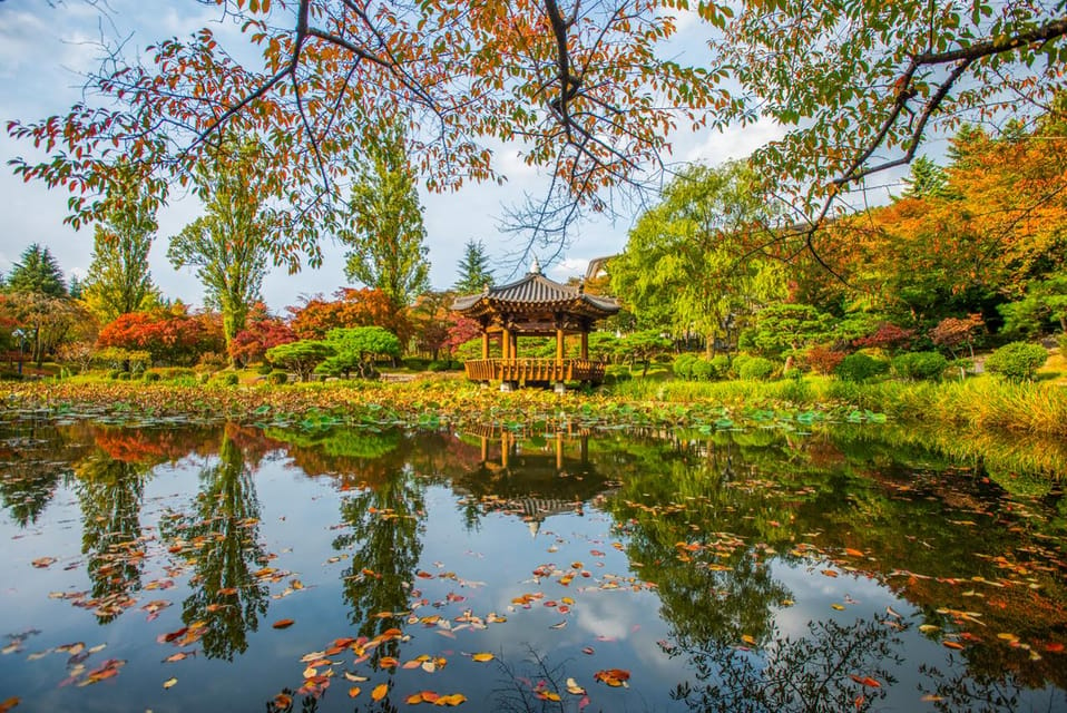 From Busan: Gyeongju Autumn Foliage One Day Tour - Departure Locations