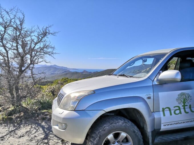 From Calvi: 4x4 Day Tour Mountain & Agriates Saleccia Beach - Customer Reviews and Ratings
