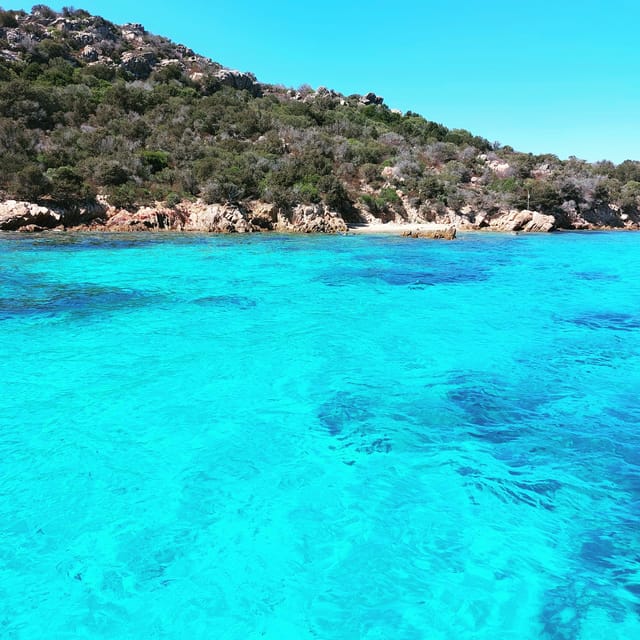 From Cannigione: Boat Tour of the La Maddalena Archipelago - Recap