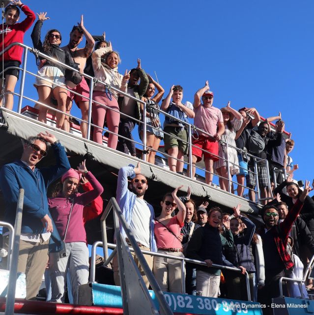 From Cape Town: Shark Cage Diving and Viewing - Prepare for the Dive