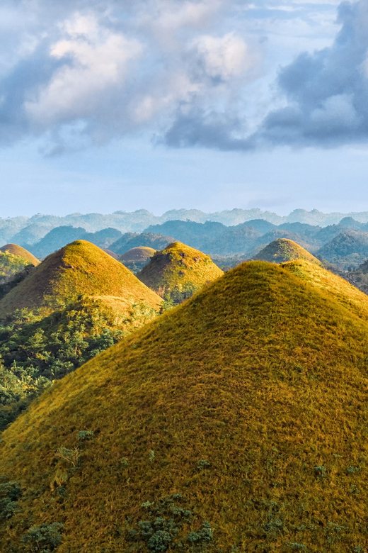 From Cebu:Chocolate Hills & Tarsier W Lunch at Loboc Joiners - Frequently Asked Questions