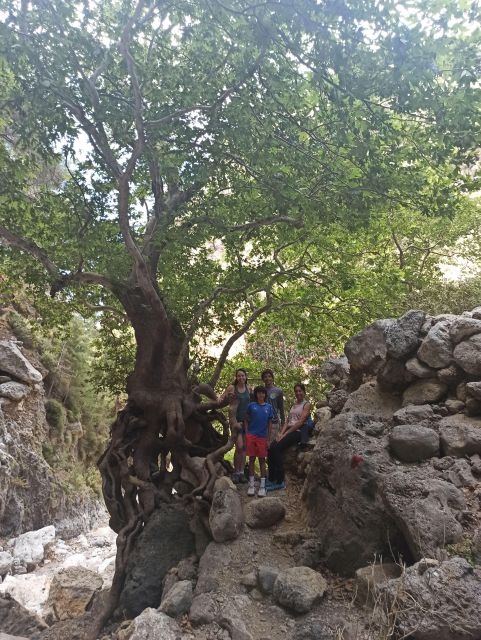 From Chania: Agia Irini Gorge Hike & Beach Relaxation - Exclusions to Consider