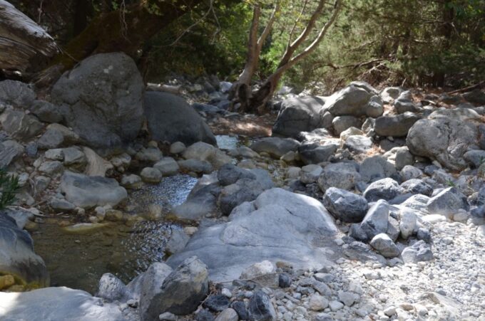 From Chania/Kalyves: Full-Day Samaria Gorge Hiking Day Trip - Customer Reviews and Ratings