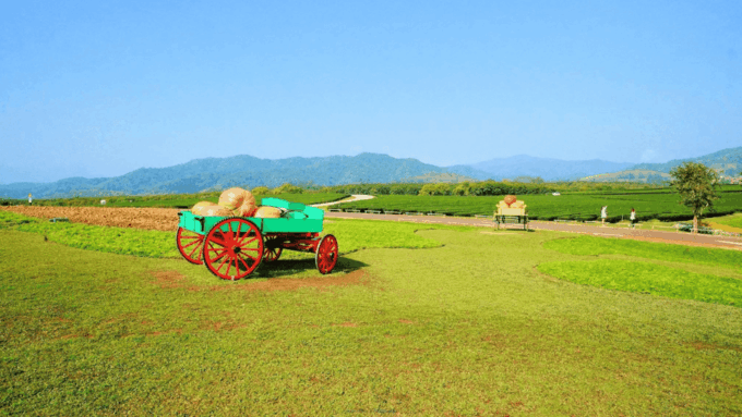 From Chiang Mai: Temples & Golden Triangle CUSTOMIZED Tour - Frequently Asked Questions