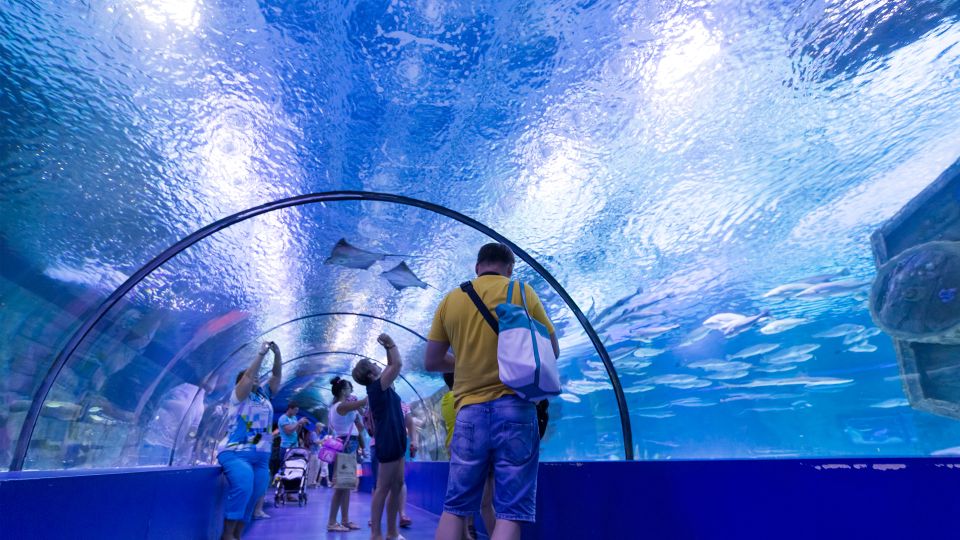 From City of Side: Antalya Aquarium Full-Day Trip - Customer Feedback