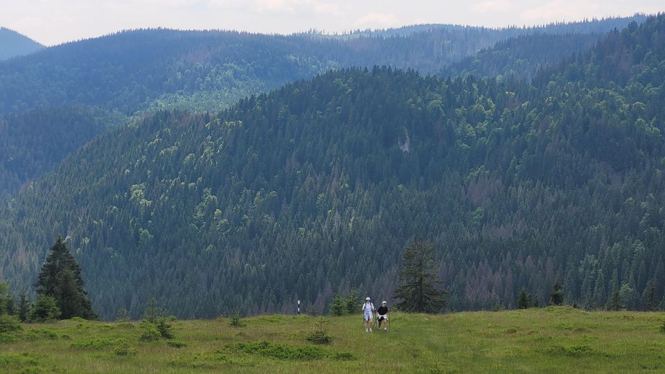 From Cluj-Napoca: Day Hike to Vlădeasa Peak - Recommended Packing List