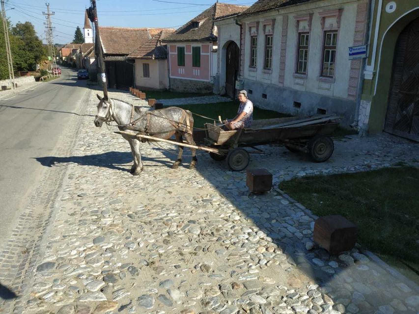 From Cluj: Sibiu - Church in Cristian - Village of Sibiel - Included Services and Amenities