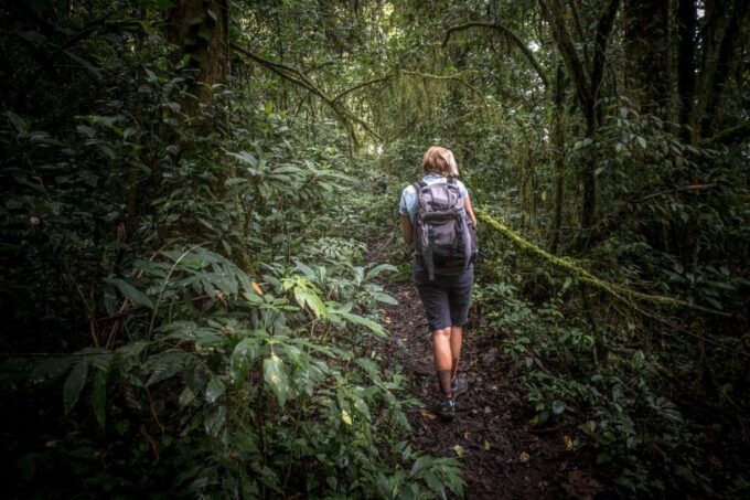 From Colombo-Negombo-Bentota-Kalutara: Sinharaja Hike - Customer Reviews