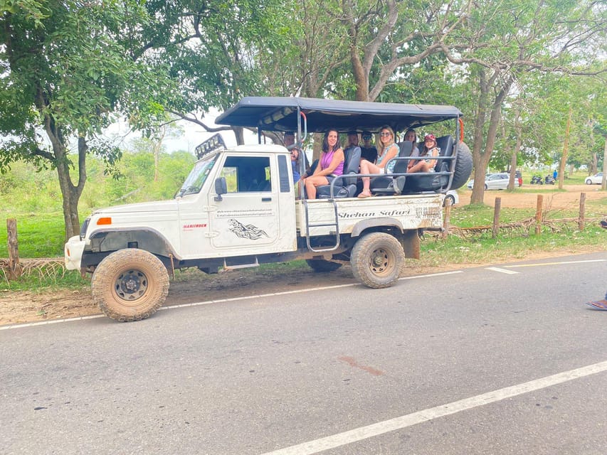 From Colombo: Udawalawe National Park Safari With Lunch - Important Considerations