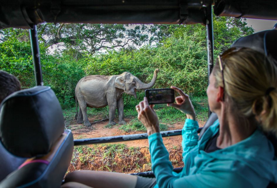 From Colombo : Yala National Park Safari Tour - Booking and Cancellation