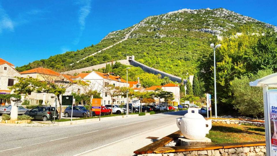 From Dubrovnik: Majkovi Village and Ston Private Food Tour - Scenic Drive and Ston