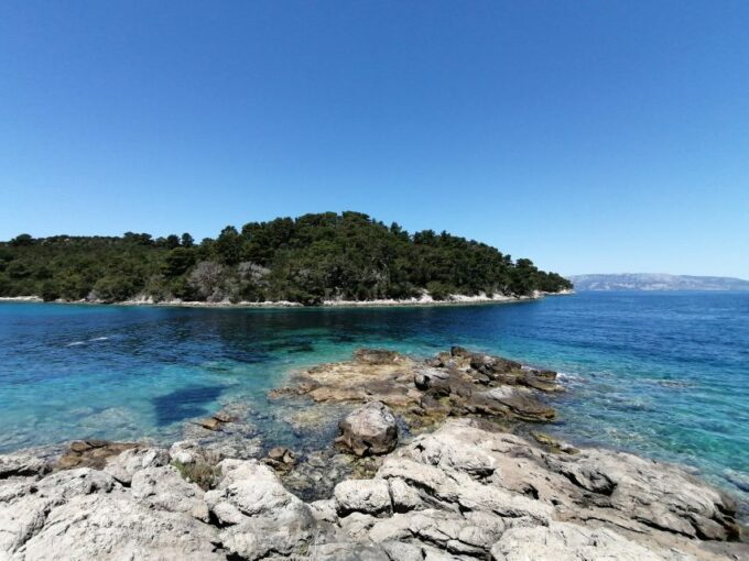 From Dubrovnik: Mljet National Park & Elaphiti Islands Trip - Highlights of Mljet National Park