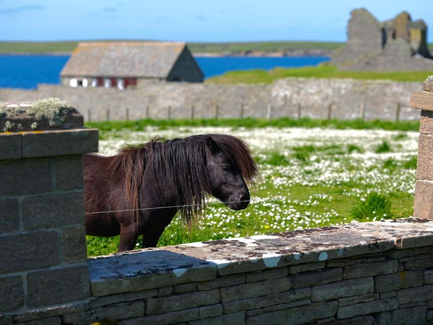 From Edinburgh: 6-Day Shetland & Nothernmost Explorer - Participant Restrictions