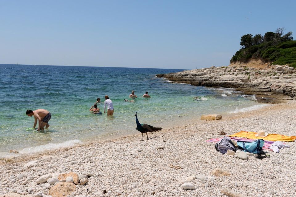 From Fazana: 14 Islands of NP Brijuni With Swimming - Peacock Island Sv. Jerolim