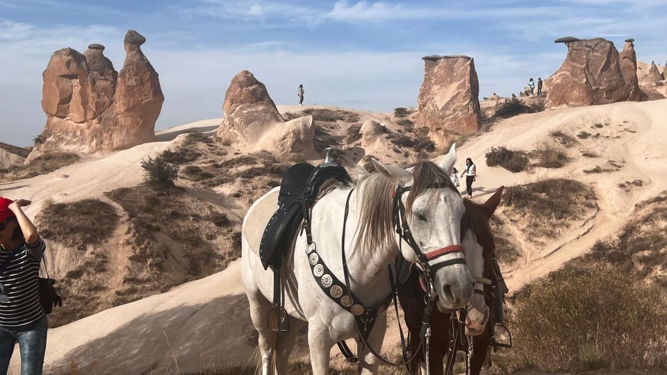 From Göreme: Cappadocia Valley Guided Tour With Lunch Option - Booking Information