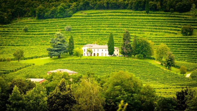 From Granada: Ronda Winery and Sightseeing Tour - Ronda Sightseeing