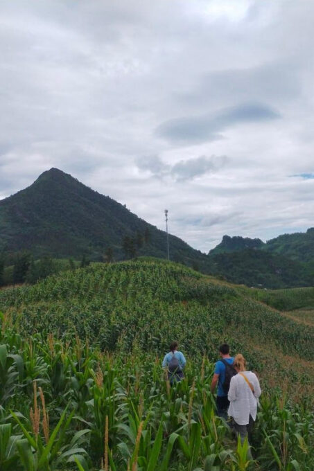From Hanoi: 2-Day Sapa Trek& Overnight in Cosy Ethnic Family - Frequently Asked Questions