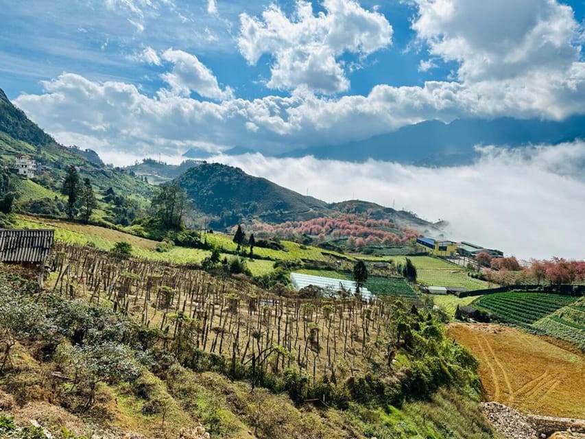 From Hanoi: 3-Days 2 Nights Sapa Tours - Trekking Through Rice Terraces