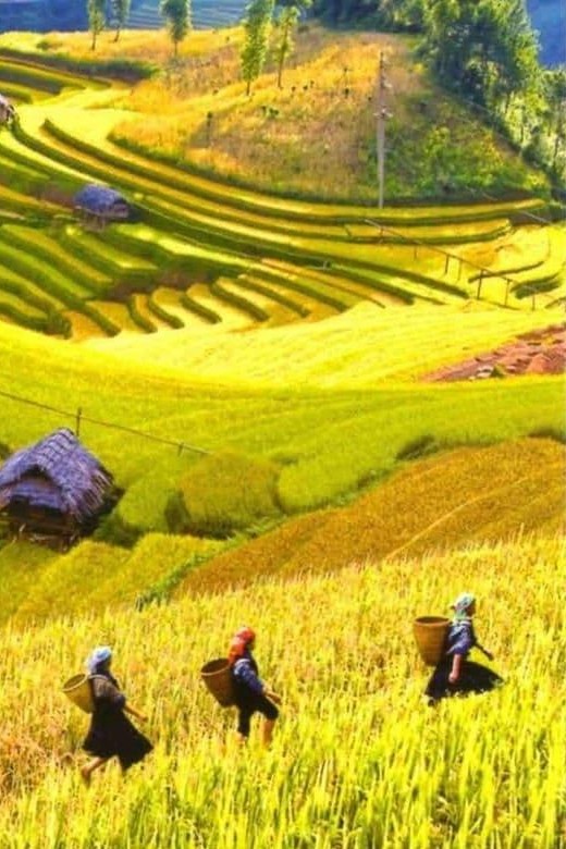 From Hanoi: Admire The Terraced Fields In Sapa For 2 Days - Optional Extras