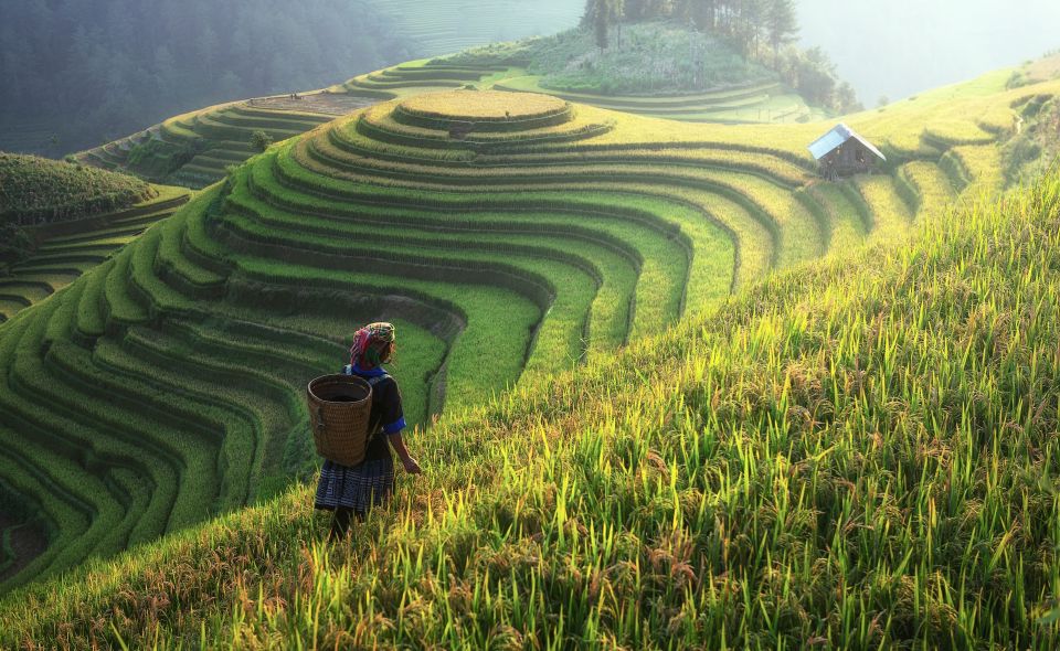 From Hanoi: Explore Sapa 2-Day Tour - Participant Guidelines