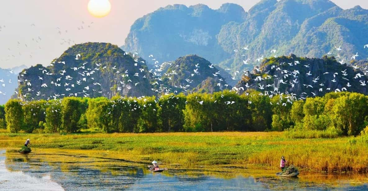 From Hanoi: Visit Ninh Binh & Admire Birds In 2 Days - Day 2 Itinerary