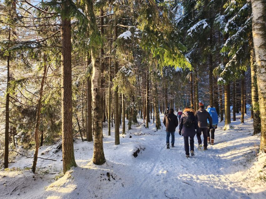 From Helsinki: Hike and Sauna in Sipoonkorpi National Park - Participant Requirements