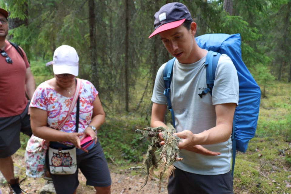 From Helsinki: Magical Taiga Hike in Liesjärvi National Park - Scenic Photography Opportunities