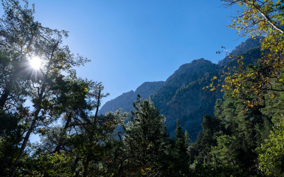 From Heraklion: Majestic Guided Hike Through Samaria Gorge - Pickup Locations and Times