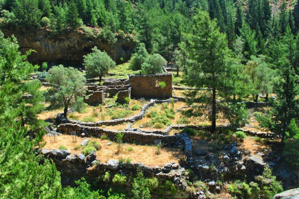 From Heraklion: Samaria Gorge & Agia Roumeli Hiking Day Trip - Pickup and Drop-off Locations