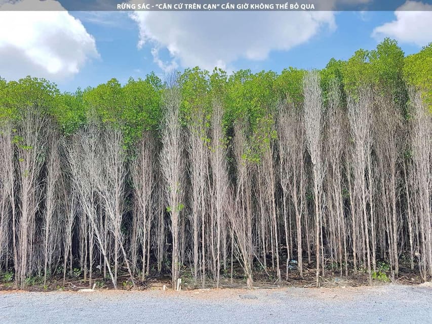 From Ho Chi Minh: Can Gio Mangrove Forest - Monkey Island - Getting to Can Gio Mangrove Forest