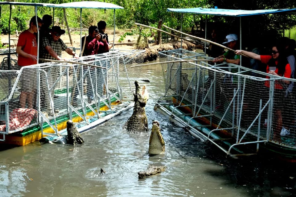 From Ho Chi Minh City: Can Gio Mangrove Forest 1 Day Tour - Pickup and Dropoff