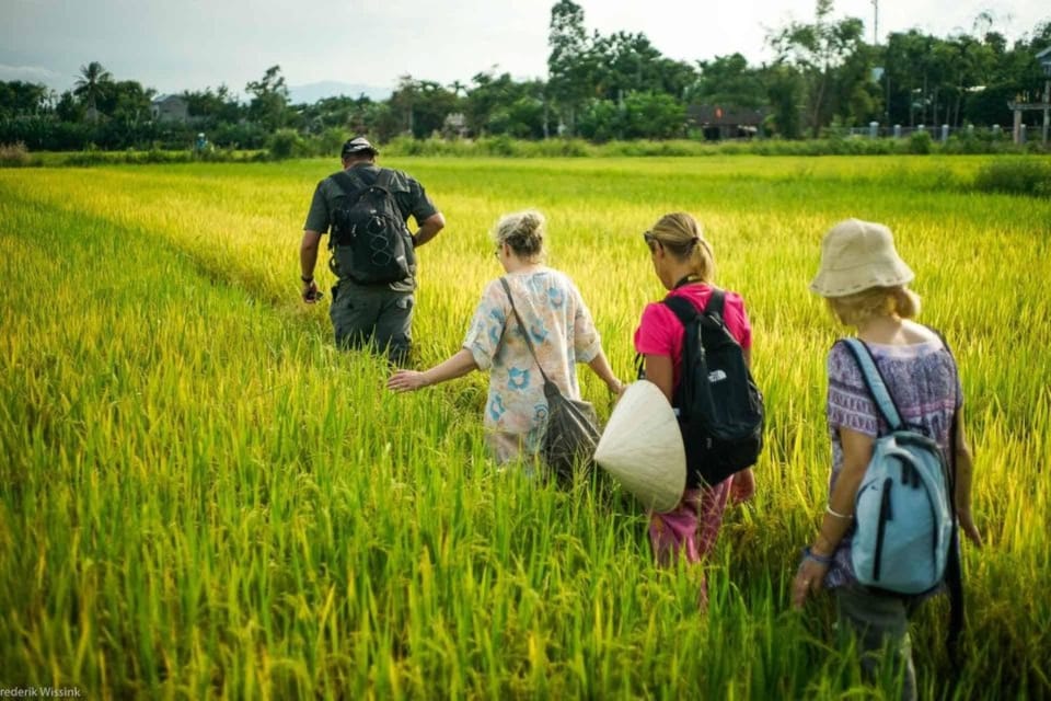 FROM HOI AN: TOUR-THE COUNTRYSIDE OF HOI AN BY VESPA - Authentic Vietnamese Rural Lifestyle