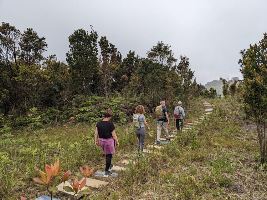 From Hue : Trekking Bach Ma National Park Day Trip - Best Times to Visit