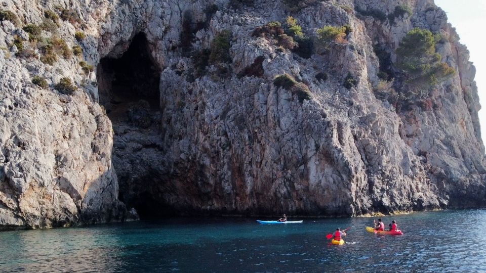 From Inmood Hotel Alcanada. Kayaking Guided Route Island - Frequently Asked Questions