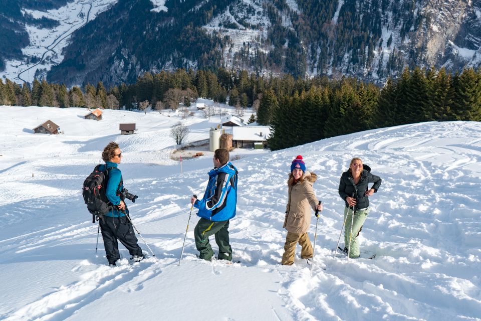 From Interlaken: Guided Snowshoe Tour Around Isenfluh - Customer Reviews and Ratings