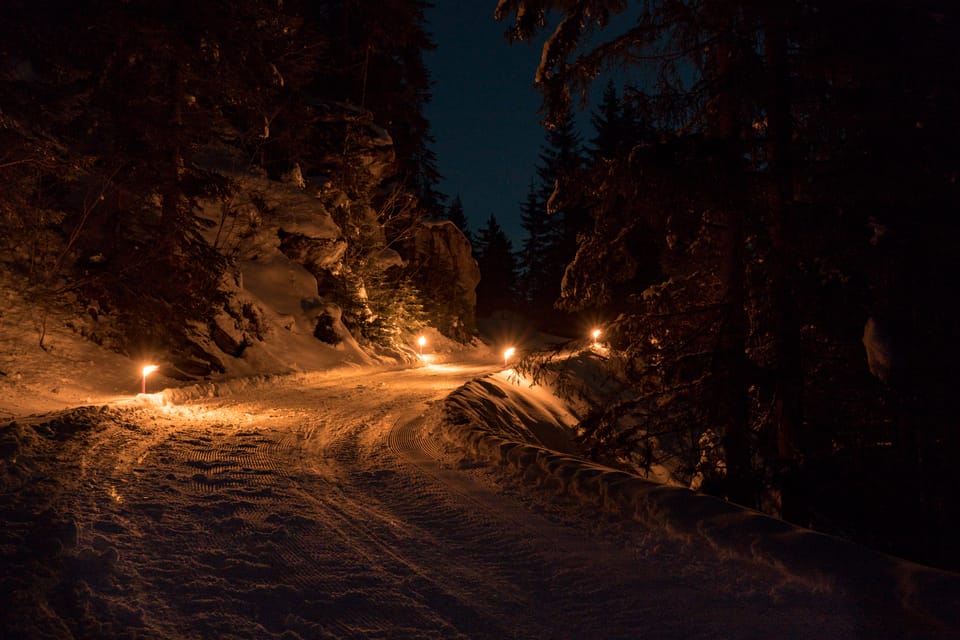 From Interlaken: Night Sledding With Cheese Fondue Dinner - Customer Reviews and Ratings