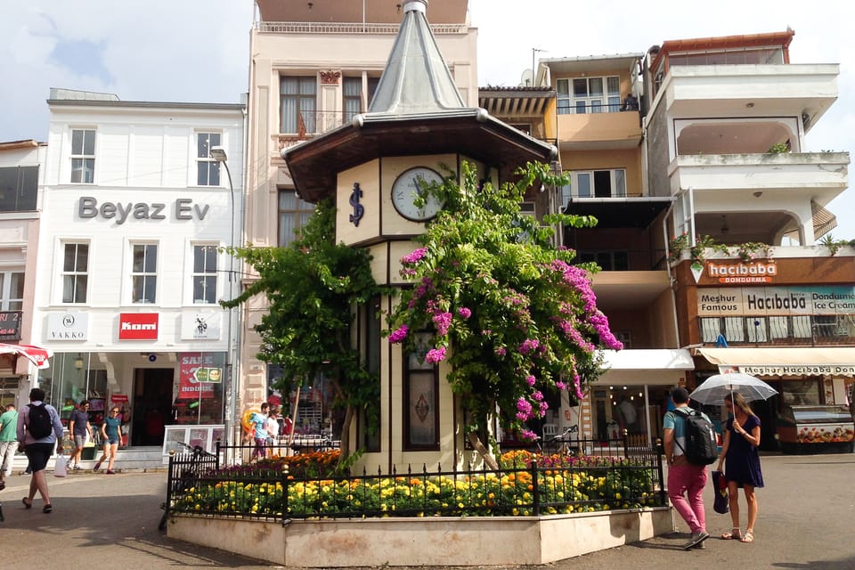 From Istanbul: Büyükada Walking Full-Day Tour - Important Notes