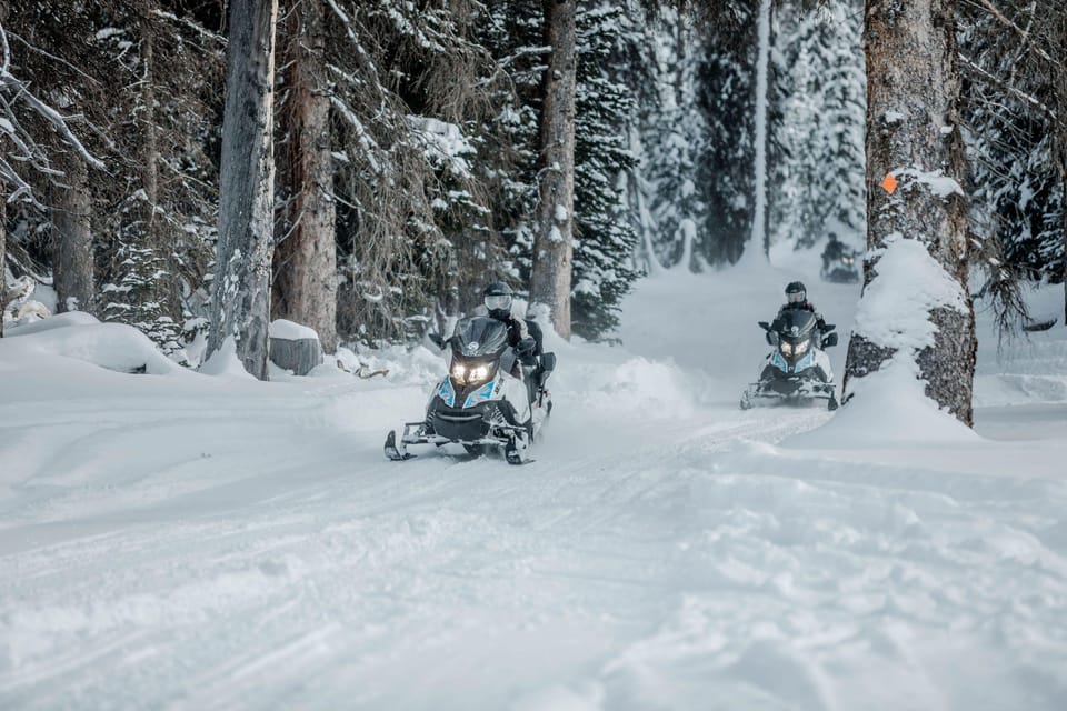 From Jackson: Yellowstone Grand Canyon Snowmobile Tour - What to Expect