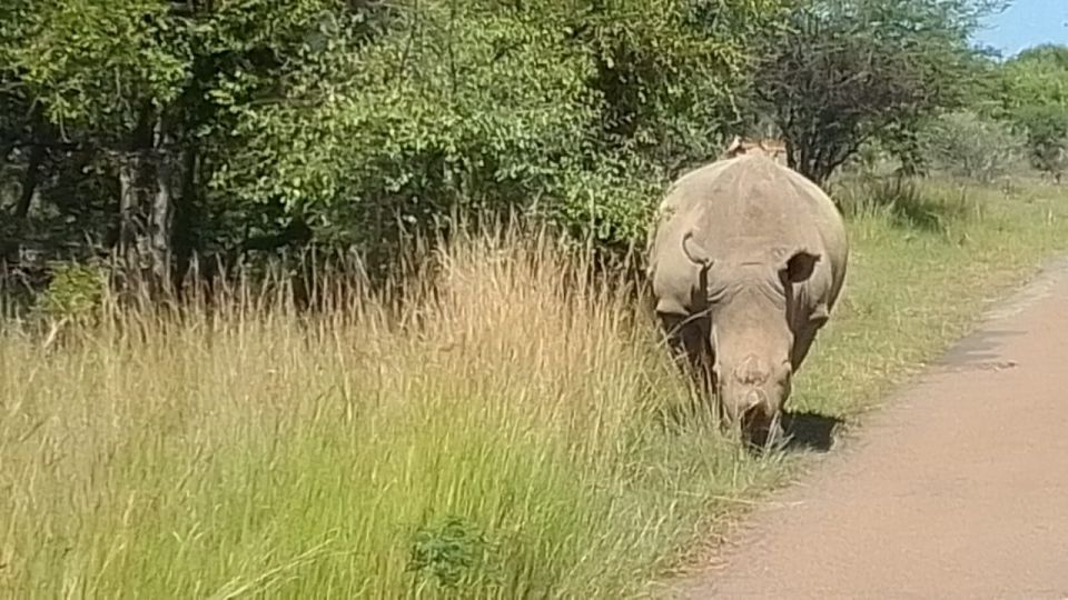 From Johannesburg: 7-Day Kruger National Park Tour - Discovering the Lesedi Cultural Village