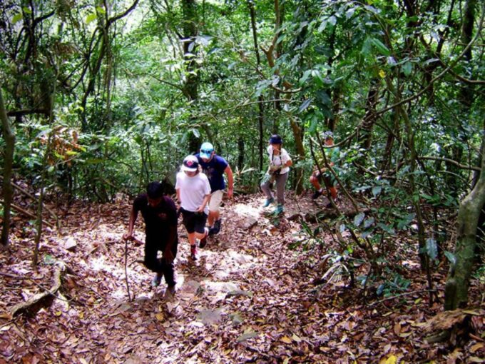 From Kandy: Bird Watching Tour to Udawatte Kele Sanctuary - Frequently Asked Questions