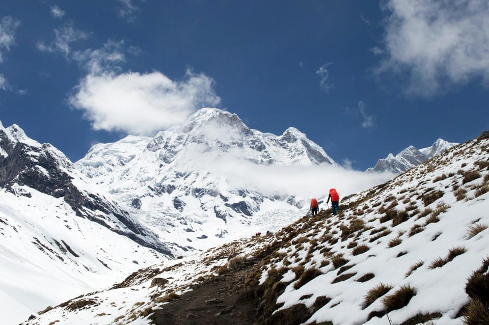 From Kathmandu: 5 Days Annapurna Base Camp Trek With Flight - Customer Experiences