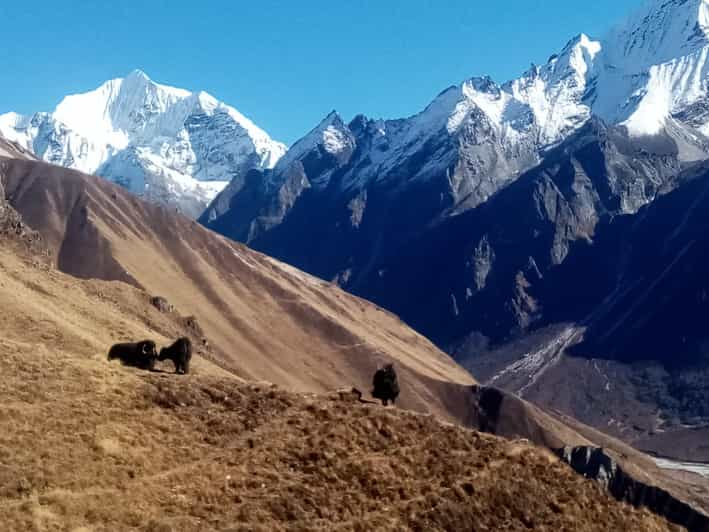 From Kathmandu: 7-Day Langtang Valley Trek - Natural Highlights