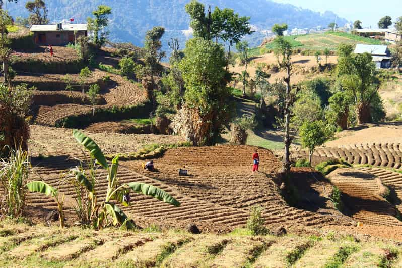 From Kathmandu: Nagarkot Sunrise and Changu Narayan Temple … - Inclusions and Exclusions