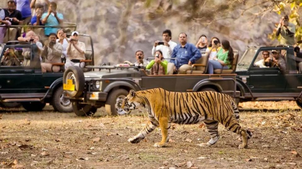 From Kathmandu: Trishuli River Rafting With Chitwan Tour - Essential Inclusions