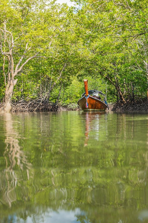 From Ko Lanta: Mangrove Eco-Excursion by Longtail Boat - Meal and Refreshments