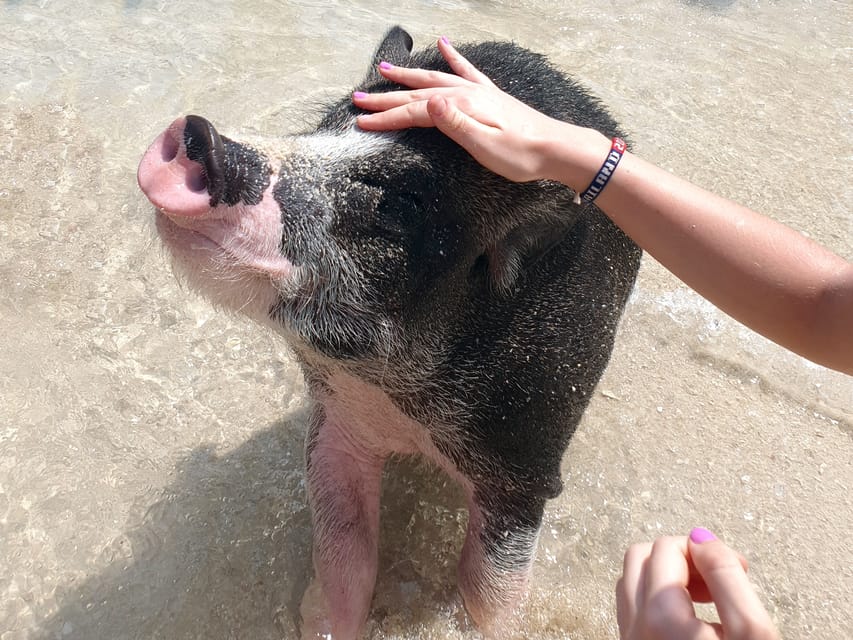 From Koh Samui: Island Hopping With Snorkeling and Lunch - Pickup and Transportation