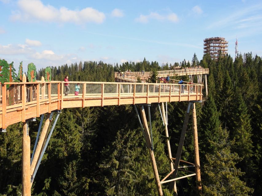 From Kraków: Slovakia Treetop Walk and Tour of Zakopane - Important Information