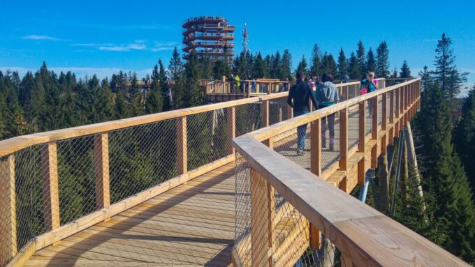 From Krakow: Slovakia Treetop Walk, Zakopane & Thermal Spa - Nearby Attractions to Explore