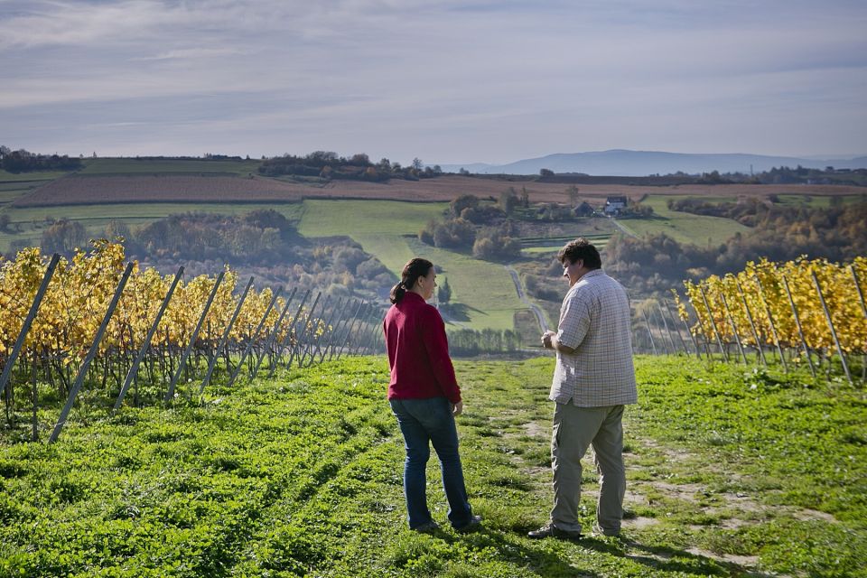 From Krakow: Wine Tasting at Vineyard - Important Participant Information