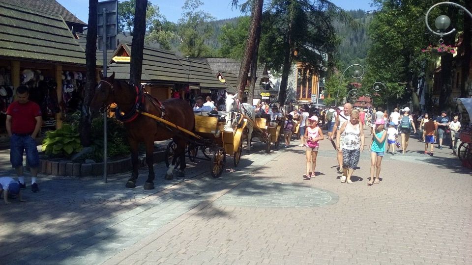 From Krakow: Zakopane & Hot Thermal Springs Private Tour - Pricing Details